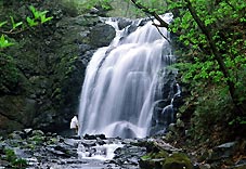 ��ԑ��
